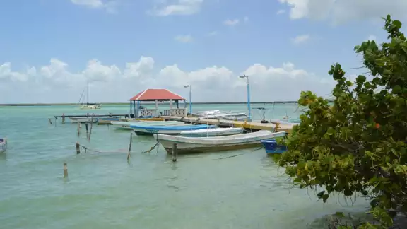 Incluso tours fueron cancelados, teniendo que devolver el dinero de las reservaciones a los visitantes Incluso tours fueron cancelados, teniendo que devolver el dinero de las reservaciones a los visitantes