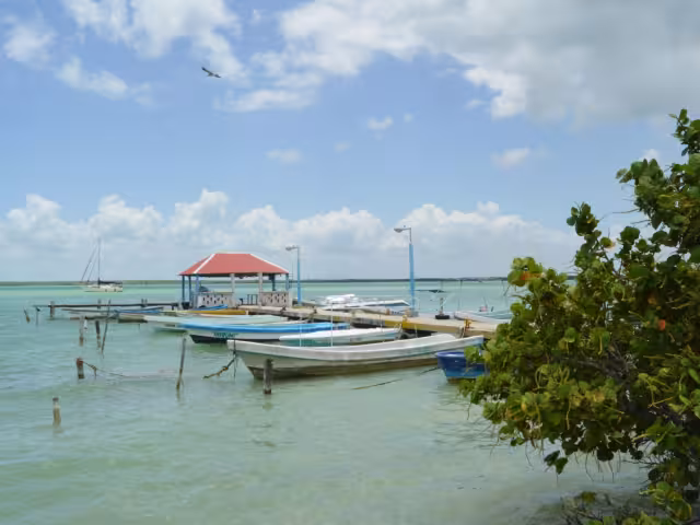 Incluso tours fueron cancelados, teniendo que devolver el dinero de las reservaciones a los visitantes