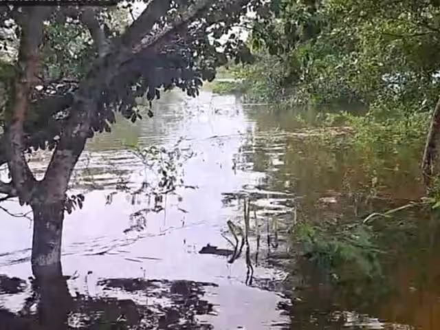 El desbordamiento de las lagunas del ejido Zoh Laguna por la tormenta "Nadine" inundó varias colonias