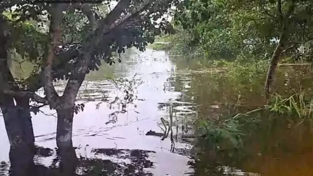 El desbordamiento de las lagunas del ejido Zoh Laguna por la tormenta "Nadine" inundó varias colonias