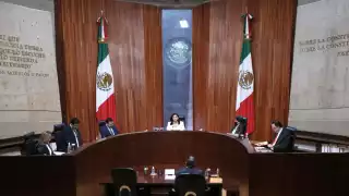 TEPJF concede mayoría calificada a Morena, PT y PVEM en la Cámara de Diputados