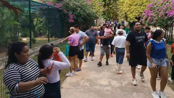 Varios animales han fallecido por extrañas circunstancias en el zoológico de Tizimín Varios animales han fallecido por extrañas circunstancias en el zoológico de Tizimín