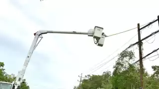 CFE restablece suministro eléctrico a 93.5% de habitantes afectados tras Huracán Beryl