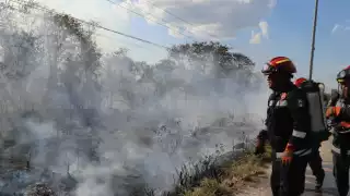 Incendios consumen seis mil hectáreas forestales en 18 municipios de Yucatán