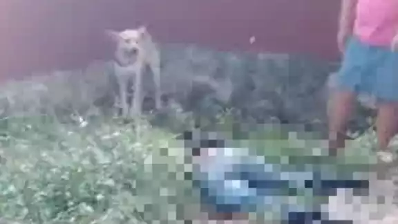 Así sucedió el ataque armado en Lázaro Cárdenas, Quintana Roo