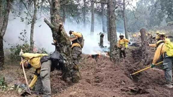 Entre los incendios, el que más llama la atención es el de Isla Arena en Calkiní Entre los incendios, el que más llama la atención es el de Isla Arena en Calkiní