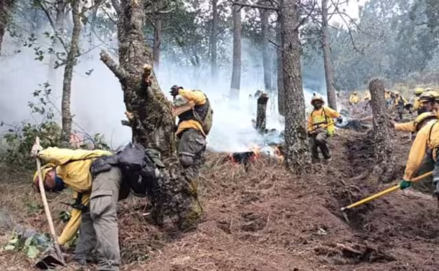 Entre los incendios, el que más llama la atención es el de Isla Arena en Calkiní