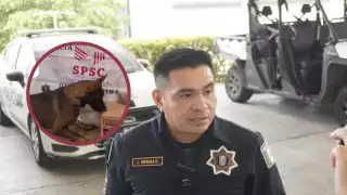 Perros policías de Campeche, indispensable para la detección oportuna de tráfico de sustancias ilegales 