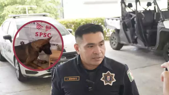 Perros policías fundamental para evitar tráfico de sustancias ilícitas