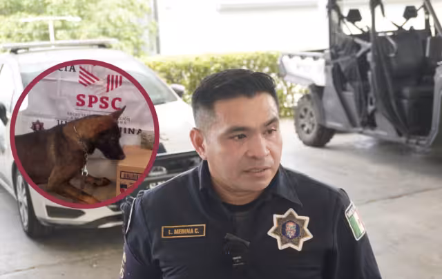 Perros policías fundamental para evitar tráfico de sustancias ilícitas