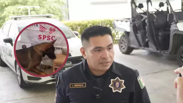 Perros policías fundamental para evitar tráfico de sustancias ilícitas