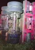 Un tráiler que transportaba alimentos para animales volcó durante la madrugada en el tramo Champotón–Sabancuy.