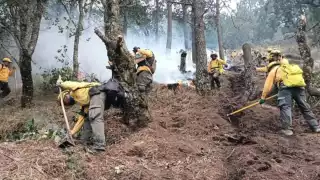 En Campeche, se han registrado 25 incendios forestales en lo que va del 2024