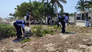 Secretaría de Marina combate contaminación en las costas del puerto de Progreso