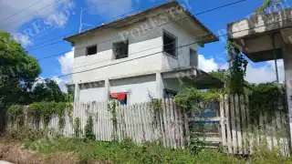 Perros frustran intento de robo en vivienda de la colonia Concordia, en Escárcega