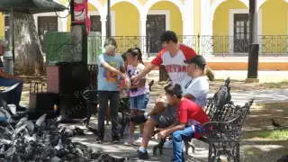 Día del Padre agoniza en Campeche
