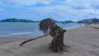 Tormenta Tropical "Flossie" avanza hacia México: dejará lluvias torrenciales y podría convertirse en Huracán