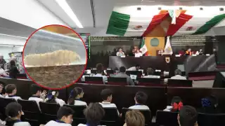 Congreso pide a Sedena y Guardia Nacional reforzar vigilancia contra el gusano barrenador en Campeche 