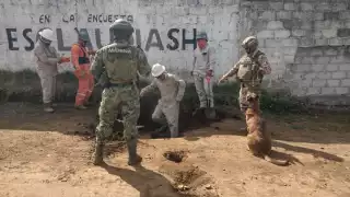 Marina y Pemex asestan golpe al huachicol en Puebla y desmantelan 30 tomas clandestinas