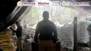 Desmantelan narcolaboratorio en Michoacán y aseguran precursores y equipo para drogas sintéticas