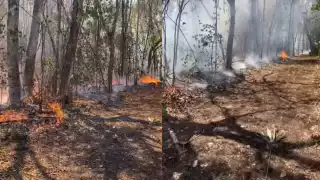Incendio imparable en Escárcega afecta a la flora y fauna; pobladores de La Libertad urgen ayuda