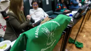 Congreso de Guanajuato pospone votación sobre despenalización del aborto tras empate técnico