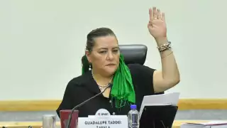 Consejeros del INE impugnarán ampliación de facultades de Guadalupe Taddei ante la Suprema Corte