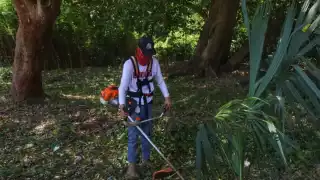 Recolectan 45 toneladas de basura en Boulevard Bahía de Chetumal