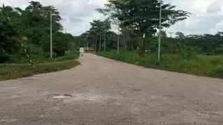 Balea a perro de su vecina en venganza por matar una gallina en Champotón