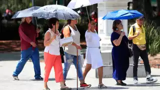 Noviembre fue el segundo mes más cálido en la historia