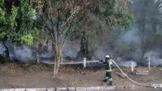 Controlan al 100% los incendios del Complejo Tepoztlán en Morelos que afectó más de 1,700 hectáreas
