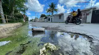 “El día menos pensado va a ocurrir una desgracia”: vecinos exigen reparación de otra fuga de agua en Champotón