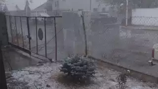 Tormenta invernal golpea Chihuahua y provoca caída de árboles, cortes de luz y de servicios