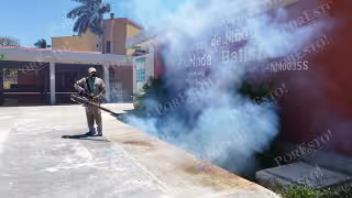 Repunta el Dengue: Suman 438 contagios entre Campeche, Yucatán y Quintana Roo