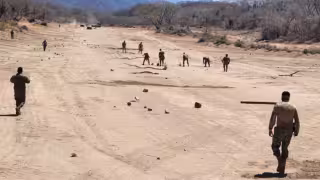 Marina desmantela pista clandestina y plantíos de marihuana en Sinaloa