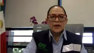 CFE restablece 91% del servicio eléctrico en zonas afectadas por lluvias en cinco estados