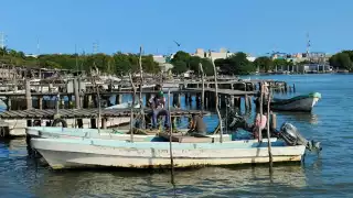 Pescadores de Ciudad del Carmen se preparan para levantar la veda del camarón siete barbas