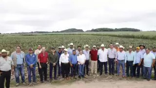 Sector cañero de Quintana Roo aún no se recupera de la crisis de la zafra 2024-2025; buscan apoyo del gobierno para iniciar nueva zafra