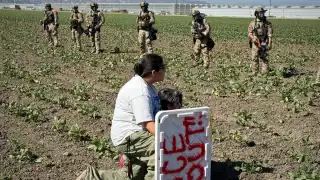 Redada migratoria en plantación de cannabis en California deja a jornalero en estado crítico
