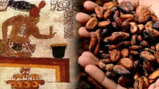 ¿Por qué el cacao era sagrado para los mayas? Su uso y legado en Campeche   