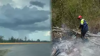 Lluvias en Campeche ayudan a reducir incendios forestales en la Biosfera de los Petenes: CONANP      