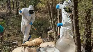 Semar desmantela laboratorio de drogas en Sinaloa y erradica plantío de mariguana en Durango