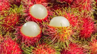  Rambután: La huaya asiática que conquista paladares en Campeche; conoce sus beneficios para la salud