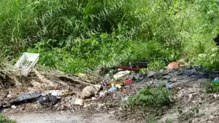 Lote baldío en Champotón se convierte en foco de infección