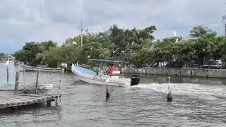 Se levanta la veda del camarón siete barbas: pescadores carmelitas retoman la captura