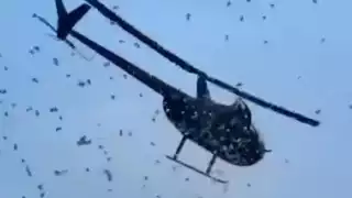 5 mil dólares cayeron del cielo desde un helicóptero por un hermoso motivo