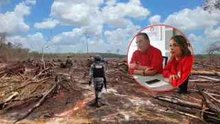 “Que se investigue a funcionarios por deforestación en Campeche”, exige el PRI