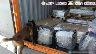 Marina decomisa 200 kilos de cocaína en la Aduana de Ensenada y asesta golpe millonario al narco