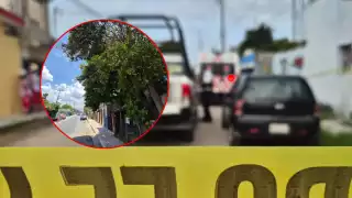 Tragedia en Champotón: Muere adulto mayor al caer de un árbol de guaya 