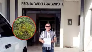 Denuncian a agente municipal de El Porvenir,  Candelaria, por destruir cultivo de chile habanero